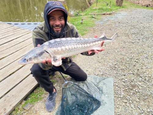 IMG-20260413-WA00131